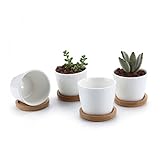 T4U 6.5CM 陶器鉢 白 ラウンド シンプルデザイン 植木鉢 多肉植物 サボテン鉢 花鉢 容器 プランター 4個入り