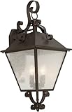 Forte Lighting 1107-04-32 Exterior Wall Light with Clear Seeded Glass Shades, Antique Bronze by Fort