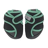 犬の靴 いぬたび 犬用靴 アップルグリーンMサイズ 2個入り 【ピカ】ペットアドバンス