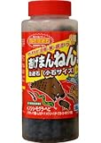 逃げまんねん！小石サイズ 500ml 【充填時】