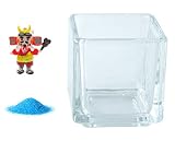 花市場直送便 ミニチュアガラス 武田信玄 & カラーサンド ブルー & 植え込み用グラス ニューブロックS