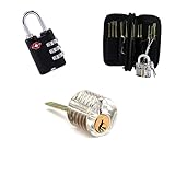 2本のホームロックが設定されたTSAロック (2)