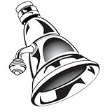 American Standard M953567-0020A SHOWERHEAD ARIANA Polished Chrome [並行輸入品]