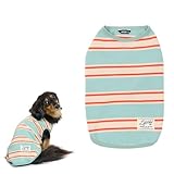 【LIFELIKE公式】サマーボーダータンク1-8号2L-3Lドッグウェア タンク 小型犬 犬 服 春 夏 春夏 トレーナー 可愛い ボーダー おしゃれ 犬の服 ペット服 犬服 ペット グッズ 洋服 ペット用品 抜け毛防止 ライフライク (サックス, 6号)