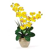 SKBファミリダブルステム胡蝶蘭シルクOrchid ArrangementイエローホームFloral Decor