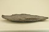 いよじ園 【盆栽鉢】 時代鉢 利根鞍馬石 持込み物（大型サイズ）(いよじ園 伊予路園)