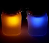 ケンオウ LED ソーラー ガーデンライト 配線無用 アンティーク な ガラス瓶 で 柔らかな光 (２色切替)