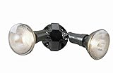 Cooper Lighting PWT250PC 300-Watt Plastic Twin-Head PAR Dusk-to-Dawn Floodlight, Bronze [並行輸入品]