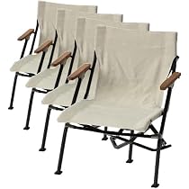 Amazon.co.jp: スノーピーク(snow peak) チェア ローチェア30 ショート