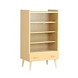 食器棚 キャビネット 本棚 完成品 aster 600MG ガラスキャビネット ナチュラル