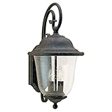 Sea Gull Lighting 8460-46 Outdoor Sconce with Clear Seeded?Glass Shades, Oxidized Bronze Finish [並行輸