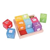 Bigjigs Baby First Picture Blocks [並行輸入品]