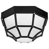 Sunlite 48240-SU DOD/OC/BK/FR/GU24 Decorative Outdoor Energy Saving Octagonal Collection Polycarbona