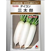 Amazon | 農業屋 三太郎大根 タキイの短形大根の種 | 野菜