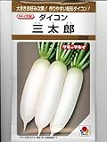 タキイ交配　三太郎大根　　　タキイの短形大根の種です