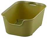 サンカ squ+ カタス ハコS グリーン