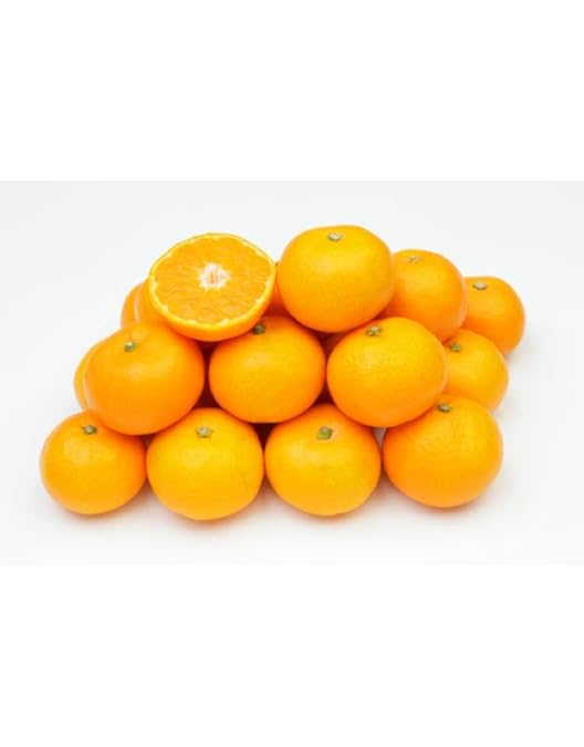 Amazon.co.jp: 特に訳ありみかん10kg(+約0.5kg多め)訳あり 不揃い 傷