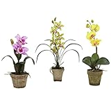 Nearly Natural 4985-A2-S3 Potted Orchid Mix, Lavender/Gold/Yellow, Set of 3 [並行輸入品]