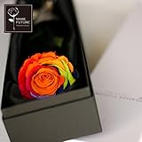 Makefuture R 一輪の薔薇 プリザーブドフラワー レインボーローズ アモローサ