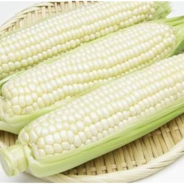 Amazon.co.jp: Nippon Tane Center White Mochi and Corn : DIY