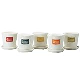 フラワーポット　Lサイズ　受け皿付き レッド