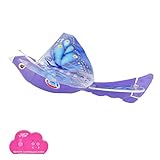 xilaluキッズおもちゃ、5038 Aerocraft 2.4 GHzリモートコントロールFlying Bird Aircraft