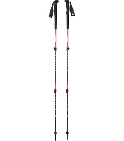 Amazon | Black Diamond Explorer トレッキングポール2本