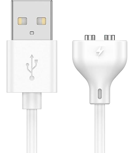 Amazon.co.jp: xinXbabe ハンディマッサージャー 充電ケーブル 電マ