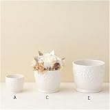 SALE 　Ceramic Compote 【セール品 元上代 410円（税込）】　A　Ceramic Compote　ホワイト 【6点】