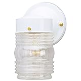 Angelo Brothers 66878 1-Light White Jelly Jar Fixture [並行輸入品]