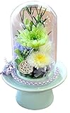 花由 プリザーブドフラワー お供え用ガラスドーム Sサイズ 緑花 X SEIJI ブリザードフラワー 仏花 お供え 仏壇 お彼岸 花