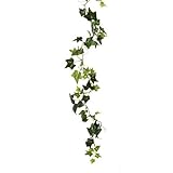 6 Foot Artificial Silk English Ivy Garland by Unknown [並行輸入品]