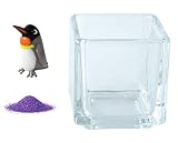 花市場直送便 ミニチュアガラス キングペンギン & カラーサンド パープル & 植え込み用グラス ニューブロックS