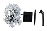 Innoo Tech Solar String Lights Outdoor Flower Fairy Light Multi Color Blossom Lighting [並行輸入品]