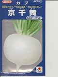 京千舞    タキイのカブ種です