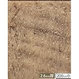 サンゲツ 店舗用クッションフロア ラフソーン 柄番CM-2216 サイズ 200cm巾×9m