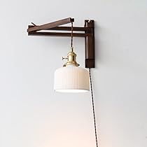 Leeのルームライト 防水LEDズームライト レッドカイザー 250ルーメン｜LHA-KS311ZI