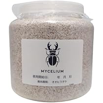 カワラタケ　2kg カワラタケ 2kg カワラタケ 2kg カワラタケ 2kg