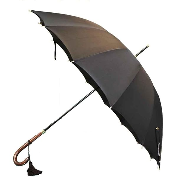 Amazon | 傘 高級 婦人用傘 紺 55cm 皇室御用達 前原光榮商店 16本骨