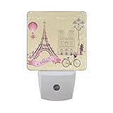 naanleエッフェル塔ピンク花ホットエアバルーンValentines Couple Kiss自転車シルエットRomantic Paris Love自動センサーLED Dusk to Dawnナイトラ