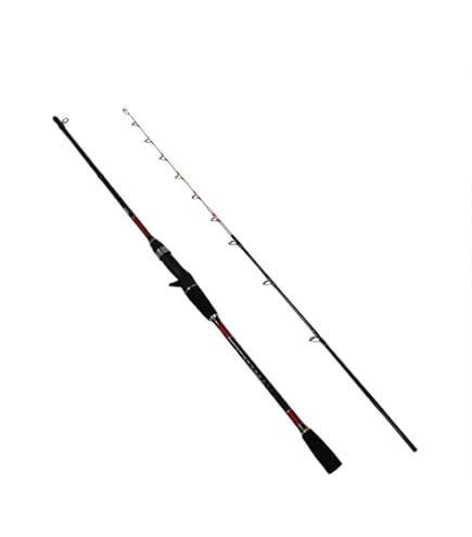 けん坊　エギ Amazon | SOLFIESTA(ソルフェスタ) 暴れん坊蛸エギ将軍 165