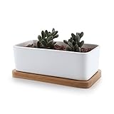 T4U 16.5CM 陶器鉢 白 矩形 植木鉢 多肉植物 サボテン鉢 竹トレイ付き