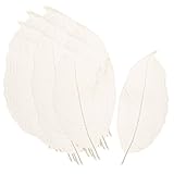 Prettyia 約100個入り　ドライフラワー　植物デザイン　モクレン　スケルトン　葉飾り　葉カード　スクラップブック　白色