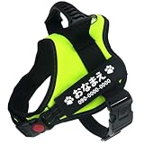 inuya 犬 ハーネス 小型犬 中型犬 【名前入れ可能】蛍光 グリーン Mサイズ オリジナル ネームタグ 名前入り おしゃれ 抜けない 犬用胴輪 夜間反射 (蛍光グリーン, M)