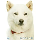 カイくん日和 [DVD]