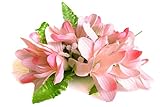 ヘアクリップ アイランド チューブ ローズ 桜 べアリー ピンク シダ 14cm 本格 ハワイアン フラ