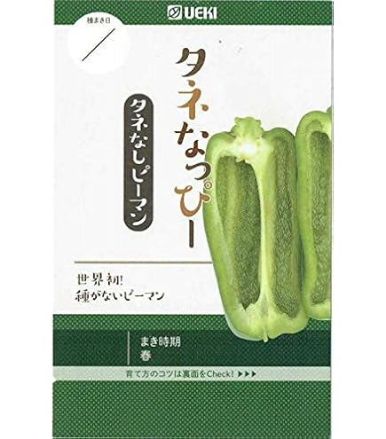 Amazon | 【種子】種なしピーマン 種 タネなっぴー 5粒 | 野菜
