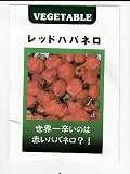 レッドハバネロ 藤田種子の激辛トウガラシ種です