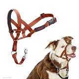 HALTI ヘッドカラー - 犬がリードを引っ張るのを止める。調節可能、反射、軽量、パッド入りノーズバンド付き.犬用トレーニング引っ張り防止首輪中型犬用(サイズ2、バーントオレンジ)