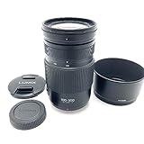 パナソニック(Panasonic) 超望遠ズームレンズ マイクロフォーサーズ用 ルミックス G VARIO 100-300mm/F4.0-5.6 II /POWER O.I.S. H-FSA100300